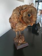 Opgezette uil, Verzamelen, Dierenverzamelingen, Ophalen of Verzenden, Gebruikt, Vogel, Opgezet dier