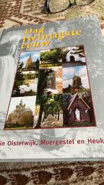 Oisterwijk,Moergestel,Heukelom Dag 20e Eeuw, Boeken, Ophalen of Verzenden, Zo goed als nieuw