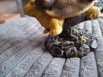 Kabouter zittend op schildpad beeldje, Ophalen of Verzenden, Zo goed als nieuw, Dier