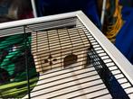 Mooie hamster knaagdieren kooi, Kooi, Minder dan 75 cm, Zo goed als nieuw, Hamster