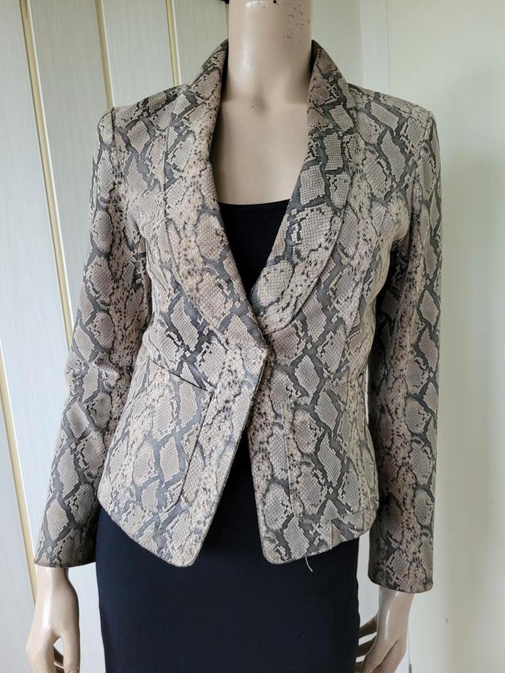 DNA leren jas snake maat S, Kleding | Dames, Jasjes, Kostuums en Pakken, Zo goed als nieuw, Jasje, Maat 36 (S), Bruin, Ophalen of Verzenden