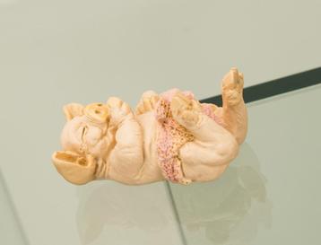 pigtails baby pink beschikbaar voor biedingen