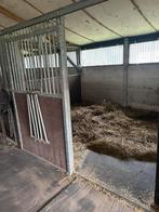 Stalling aangeboden, Dieren en Toebehoren, Stalling en Weidegang, Stalling, 1 paard of pony
