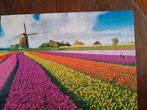 Goliath brights puzzel 300stukjes tulpenveld molen COMPLEET, Ophalen of Verzenden, 500 t/m 1500 stukjes, Zo goed als nieuw, Legpuzzel