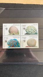 Nederlandse Antillen 1607/10 koraal WWF post fris/4718, Postzegels en Munten, Postzegels | Thematische zegels, Ophalen of Verzenden
