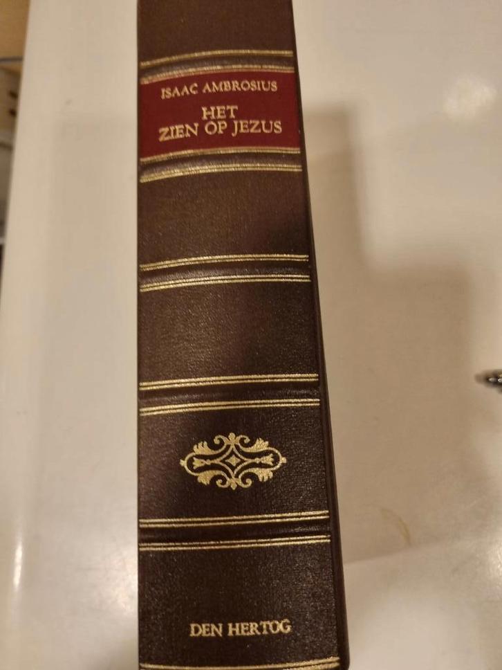 Isaac Ambrosius. Het zien op Jezus., Boeken, Godsdienst en Theologie, Zo goed als nieuw, Christendom | Protestants, Ophalen of Verzenden