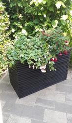 Zwarte Houten Bloembak, Ophalen, Tuin, 100 cm of meer, Nieuw
