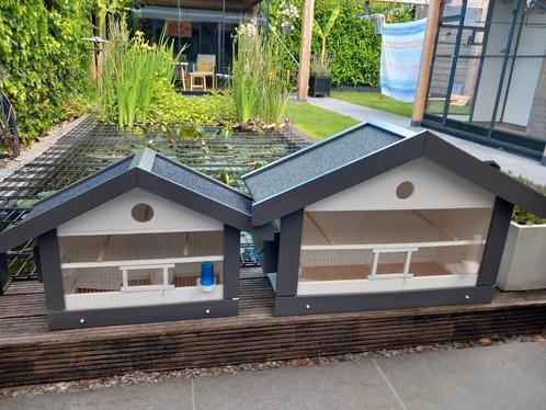 Nieuwe zangkooien, Dieren en Toebehoren, Vogels | Hokken en Kooien, Ophalen