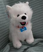 Paco knuffel (bekend van Rutger, Thomas & Paco), Ophalen of Verzenden, Nieuw, Hond