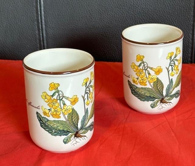2x beker/mok zonder oor, Botanica, Villeroy en Boch, Huis en Inrichting, Keuken | Servies, Ophalen, Gebruikt, Overige typen, Overige stijlen