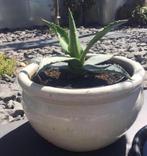 Oud Hollandse dikke terracotta kwaliteit bloempot 35cm, 25 tot 40 cm, Rond, Zo goed als nieuw, Minder dan 40 cm