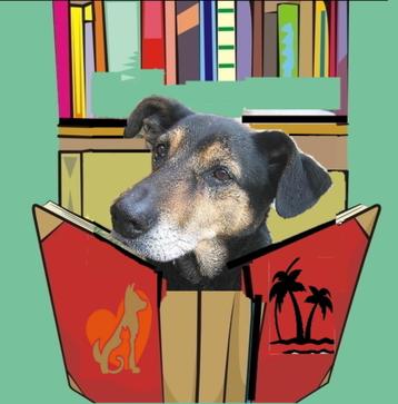 Boek naar keuze GRATIS : Bij 2 pak je het 3e boek GRATIS mee beschikbaar voor biedingen
