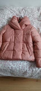 Jas, Kleding | Heren, Ophalen of Verzenden, Nieuw, Maat 46 (S) of kleiner