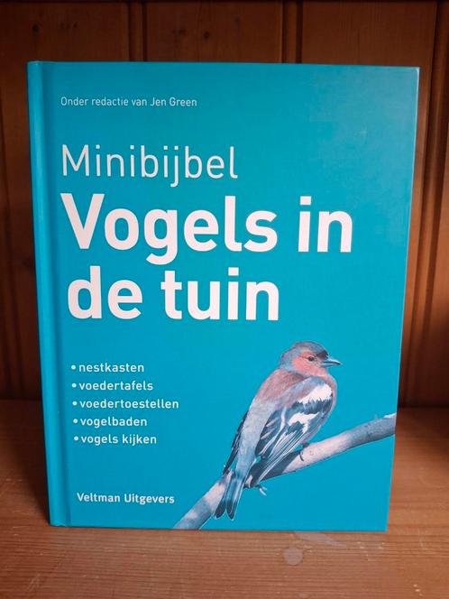 Jen Green - Minibijbel Vogels in de tuin, Boeken, Dieren en Huisdieren, Zo goed als nieuw, Vogels, Ophalen of Verzenden