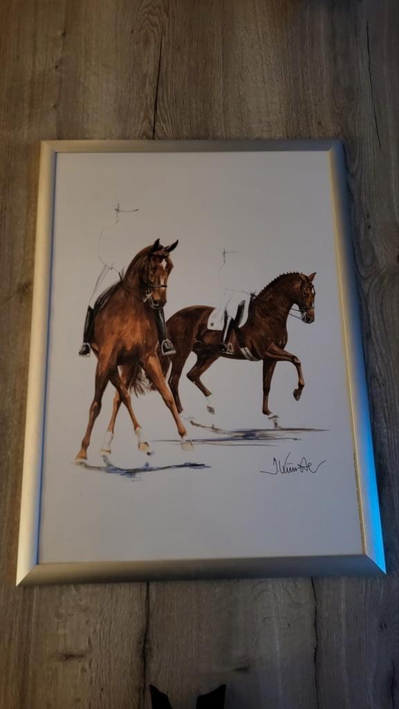 Prachtige dressuur paarden afbeelding Jan Künster ingelijst, Antiek en Kunst, Kunst | Tekeningen en Foto's, Ophalen