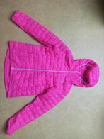 Te koop the North Face jas roze 10-12 jaar, Meisje, The North Face, Gebruikt, Ophalen of Verzenden