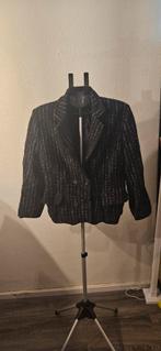 Leuke blazer met glitter streepjes, Kleding | Dames, Ophalen of Verzenden, Zo goed als nieuw