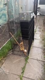 Ruime Vogelkooi €15, Ophalen, Zo goed als nieuw, Metaal, Vogelkooi