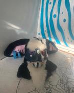 Fursuit dinomask, Hobby en Vrije tijd, Kostuums, Theaterbenodigdheden en LARP, Ophalen of Verzenden, Zo goed als nieuw