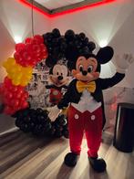 Mascotte op bezoek, Ophalen of Verzenden, Zo goed als nieuw, Verjaardag