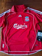 Liverpool shirt maat 140/152, Ophalen of Verzenden, Nieuw, Buitenlandse clubs, Shirt