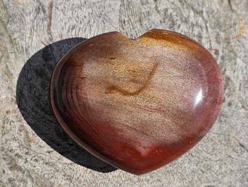 Versteend hout hart 94 gram beschikbaar voor biedingen