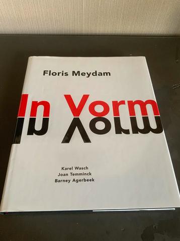 K. Wasch - Floris Meydam In Vorm beschikbaar voor biedingen