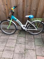 Een meisje fiets, Fietsen en Brommers, 26 inch of meer, Gebruikt, Papillon, Versnellingen