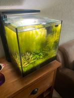 Superfish qubic 30 compleet, Dieren en Toebehoren, Vissen | Aquaria en Toebehoren, Ophalen, Zo goed als nieuw, Gevuld zoetwateraquarium