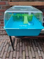 Muisenkooi hamsterkooi, Dieren en Toebehoren, Knaagdieren en Konijnen | Hokken en Kooien, Kooi, Minder dan 75 cm, Zo goed als nieuw
