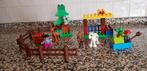 Duplo wilde dieren. 10582, Ophalen of Verzenden, Gebruikt, Complete set, Duplo