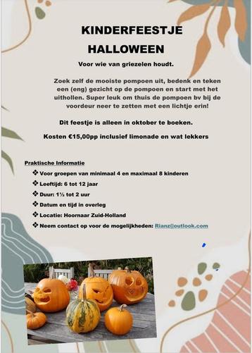 Vier je kinderfeestje bij RianzCrea! beschikbaar voor biedingen
