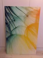 Glazen schilderij - Paardenbloem, Ophalen, Zo goed als nieuw, Schilderij, 75 cm of meer