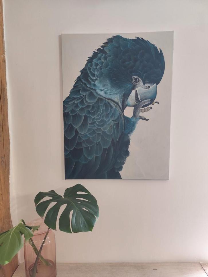 Kaketoe Schilderij - Handgeschilderd, Antiek en Kunst, Kunst | Schilderijen | Klassiek, Ophalen