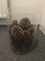 Gratis vaas, Huis en Inrichting, Ophalen, Overige kleuren, Minder dan 50 cm, Glas