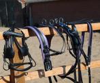 Te koop nieuw mini mini shetlander mentuig paars onderlegd, Dieren en Toebehoren, ., Ophalen of Verzenden, ., .