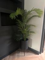 Mooie Nep Palm Plant met Pot, Ophalen, 100 tot 150 cm, Palm, Halfschaduw