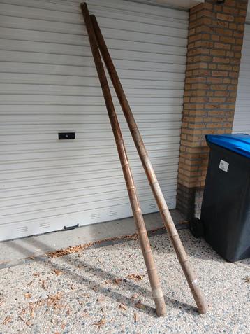6 cm  dikke bamboe palen 240cm beschikbaar voor biedingen