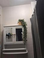 Badkamerkastje, Huis en Inrichting, Woonaccessoires | Spiegels, Ophalen, Minder dan 50 cm, Gebruikt, Minder dan 100 cm