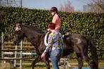 Ruitercoach heeft nog wat plekjes vrij, Dieren en Toebehoren, Paarden en Pony's | Overige Paardenspullen, Ophalen