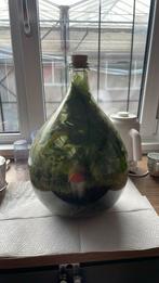 Gratis af te halen: plantenterrarium in fles: ecosysteem, Ophalen, Overige soorten, Minder dan 100 cm