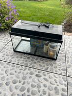 Aquarium 60x30x37, Dieren en Toebehoren, Reptielen en Amfibieën | Toebehoren, Ophalen, Gebruikt, Terrarium of Paludarium