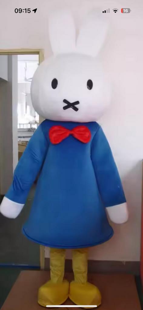 Mascotte nijntje te huur inclusief acteur, Hobby en Vrije tijd, Feestartikelen | Verhuur, Zo goed als nieuw, Overige, Ophalen of Verzenden