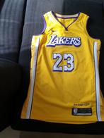 Nike Lebron James City Edition La Lakers Swingman Jersey, Ophalen of Verzenden, Zo goed als nieuw, Kleding