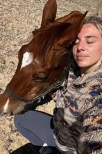 Aangeboden: stalling (eigen zorg) of weidemaatje, Dieren en Toebehoren, Stalling en Weidegang, Weidegang, 1 paard of pony