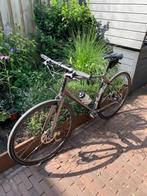 Giant Liv sport/fitnessbike ZGAN, Fietsen en Brommers, Fietsen | Mountainbikes en ATB, Ophalen, 49 tot 53 cm, Giant, Zo goed als nieuw