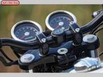 ROYAL ENFIELD CONTINENTAL GT (bj 2019), 2 cilinders, Bedrijf, Meer dan 35 kW, Overig
