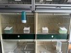 Broedkooi vogels, Ophalen, Gebruikt, Kunststof, Broedkooi of Kweekkooi