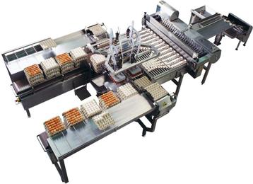 Eier-breker/ei-breker machine beschikbaar voor biedingen