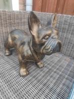 Indrukwekkend Bulldog Beeld XL – Goud & Brons, Ophalen of Verzenden, Zo goed als nieuw, Dier